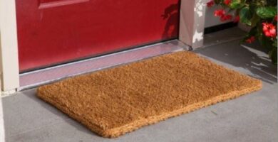 5 Consejos de limpieza de tapetes sanitizantes 7 5 Consejos de limpieza de tapetes sanitizantes