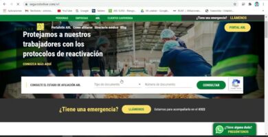Afíliate a ARL Seguros Bolívar fácil y rápido 7 Afíliate a ARL Seguros Bolívar fácil y rápido