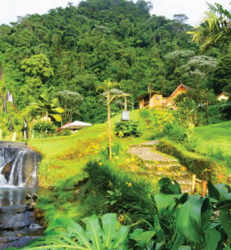 Descubre los mejores lugares para visitar en Pereira