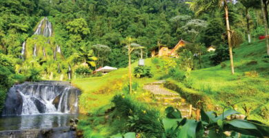 Descubre los mejores lugares para visitar en Pereira 14 Descubre los mejores lugares para visitar en Pereira