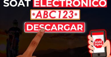 Consulta rápida sobre soat por cédula 8 Consulta rápida sobre soat por cédula