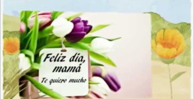 Videos inolvidables para el Día de la Madre 13 Videos inolvidables para el Día de la Madre