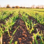 La revolucion silenciosa que esta transformando la agricultura moderna