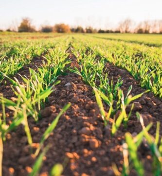 La revolucion silenciosa que esta transformando la agricultura moderna