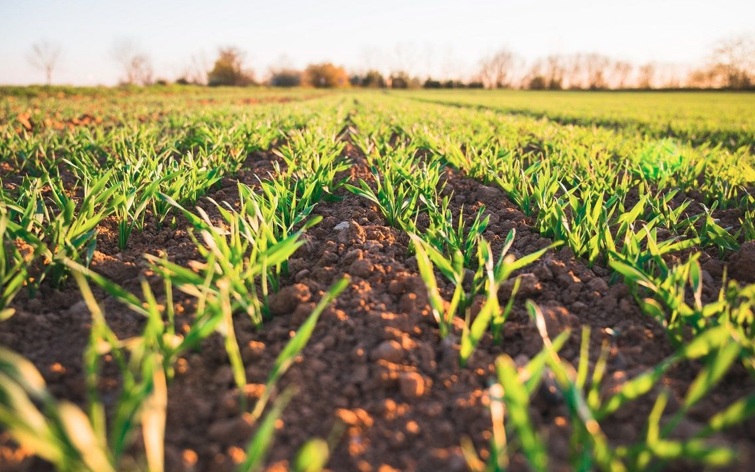 La revolucion silenciosa que esta transformando la agricultura moderna